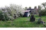 Einfamilienhaus Meine - 439.000&euro; | Angebot:27269902