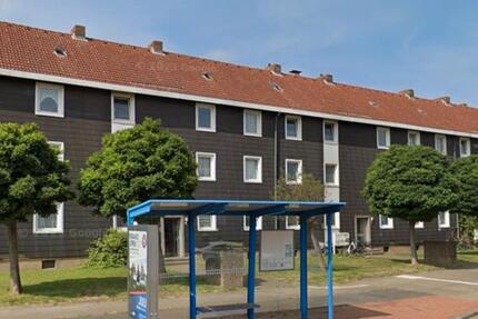 Wohnung zu vermieten ab sofort 4 zimmer