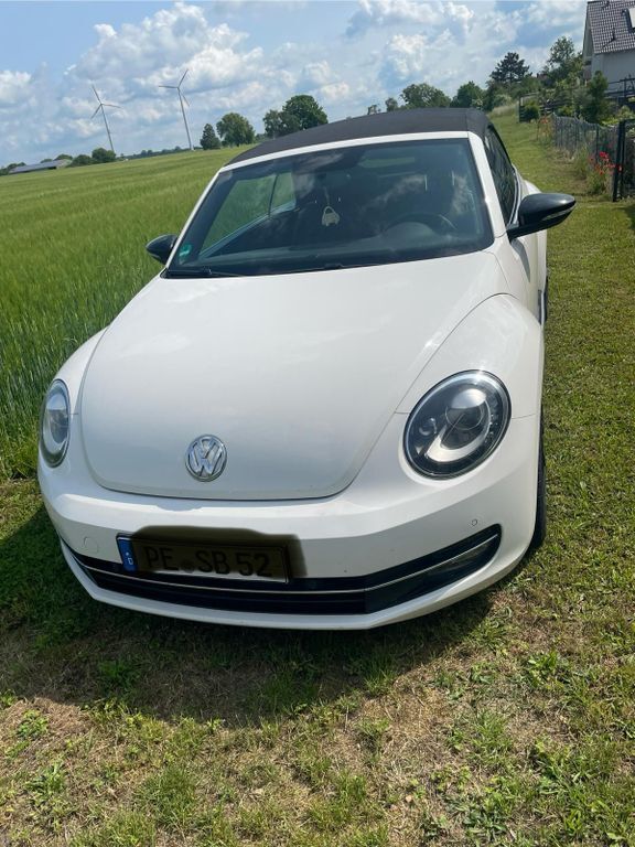 Beetle