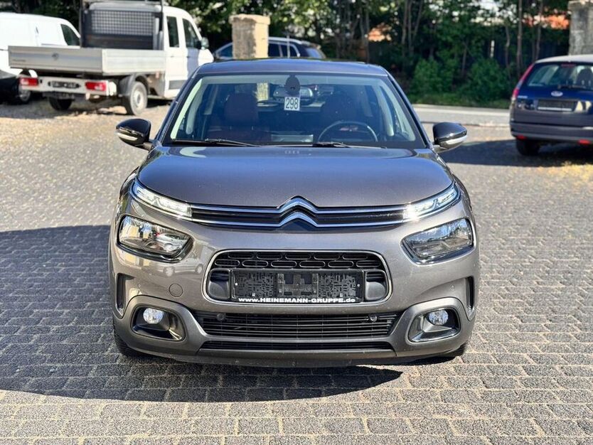 C4 Cactus