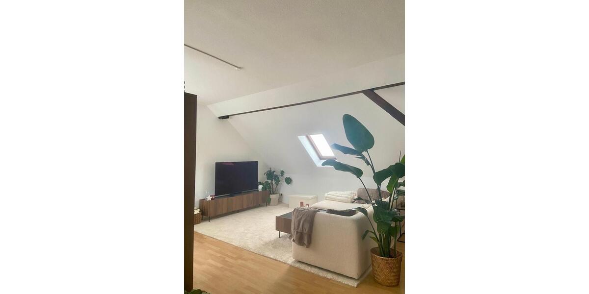 Dachgeschoßwohnung Braunschweig Wabe-Schunter-Beberbach - 2.5 Zimmer, 90 m&sup2;, 810&euro; | Angebot:25232088