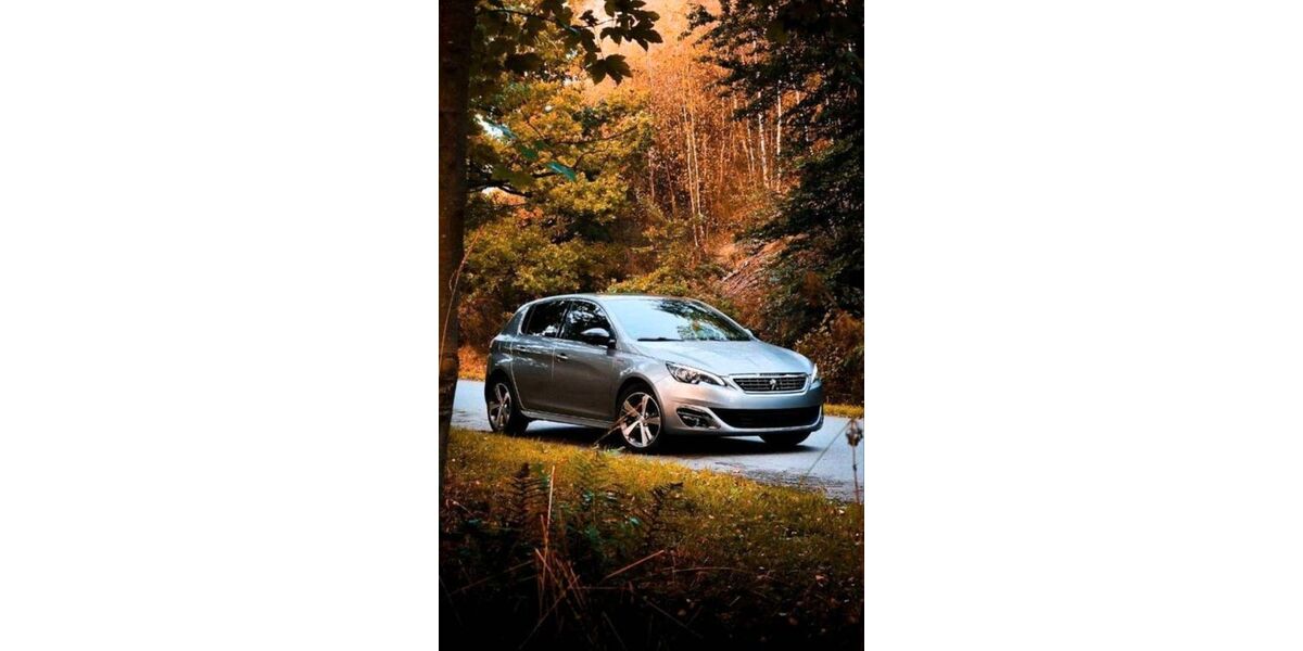 Peugeot 308 111.750 km 9.259 &euro; Langelsheim 38685
