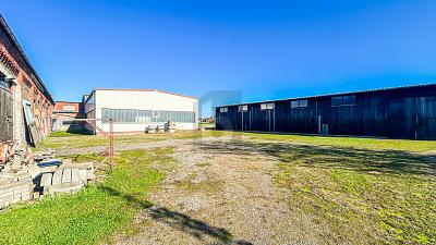 HALLENKOMPLEX MIT FREIFLÄCHEN UND WIESE - Gewerbeobjekt Ilsede | Angebot:27211184