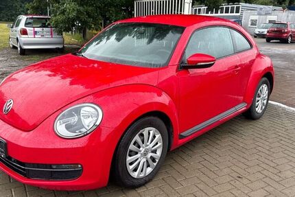 VW Beetle