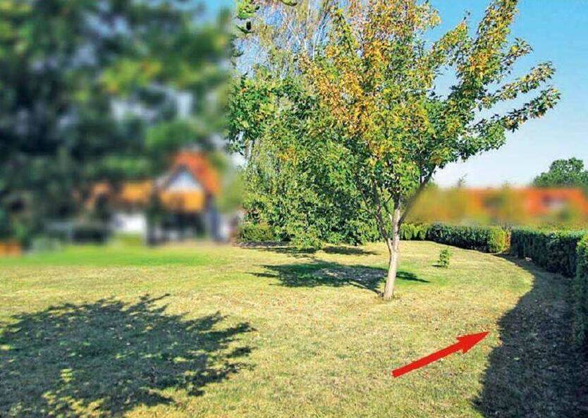 Ein Stück Garten im Innenbereich von Goslar-Weddingen provisionsfrei kaufen