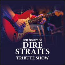 One Night of Dire Straits - Tribute Show 23.01.2027 LINDENHALLE WOLFENBÜTTEL
