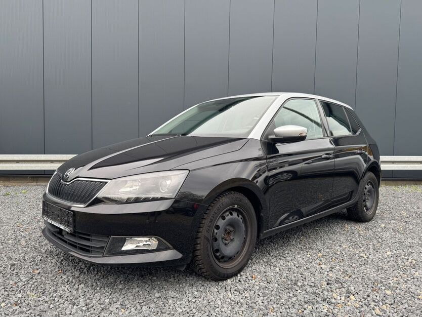 Skoda Fabia 126.100 km 7.990 € Braunschweig 38110