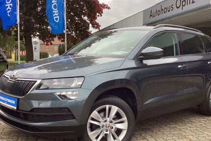 Skoda Karoq 101.584 km 19.790 &euro; Wendeburg 38176