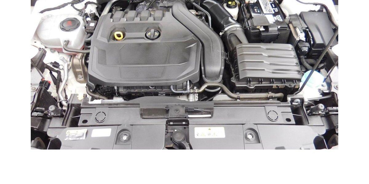 Cupra Formentor 1.5 TSI BMT Klima LED Alu 22.200 km 20.990 &euro; Vordorf 38533