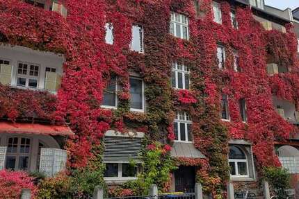 Wohnung Braunschweig Lehndorf-Watenbüttel - 4 Zimmer, 116 m&sup2;, 349.000&euro; | Angebot:26534749