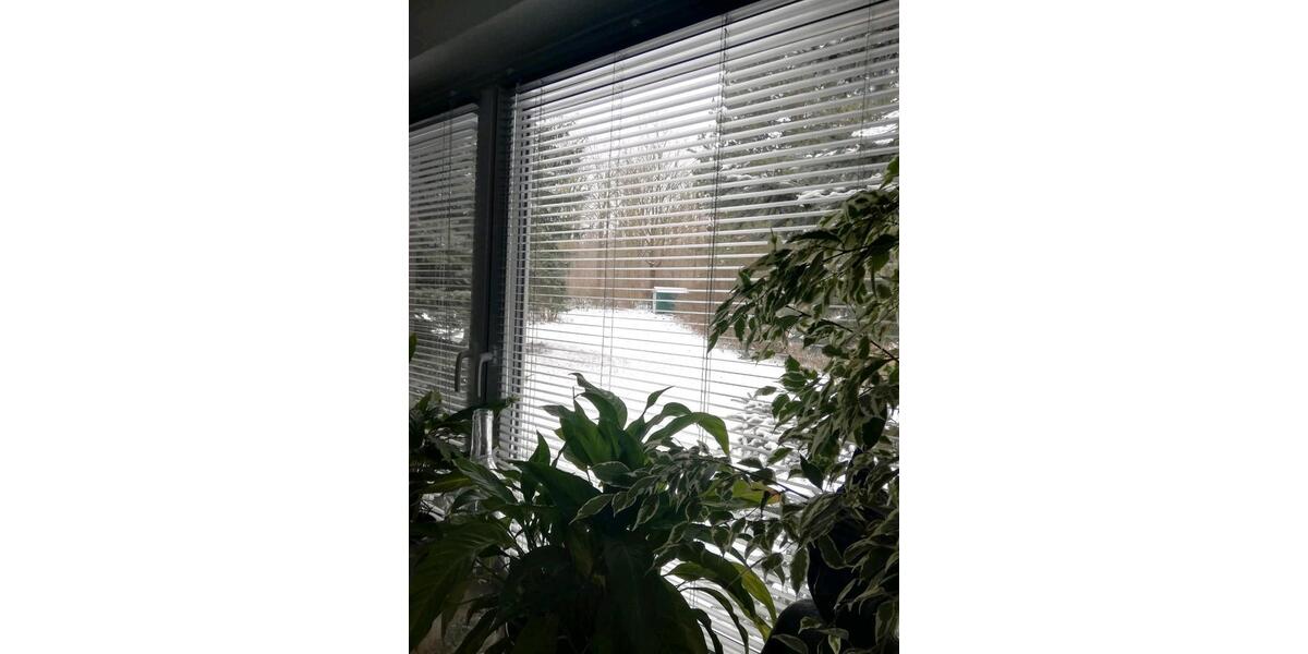 Erdgeschoßwohnung Braunschweig Heidberg-Melverode - 1 Zimmer, 35 m&sup2;, 430&euro; | Angebot:24819566