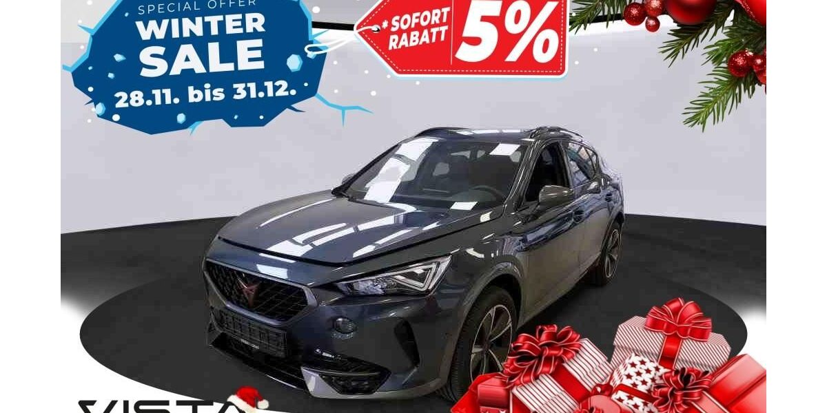 Cupra Formentor 34.661 km 24.605 € Braunschweig 38122