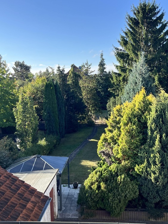 Doppelhaushälfte mitten in Himmelsthür 7 zimmer