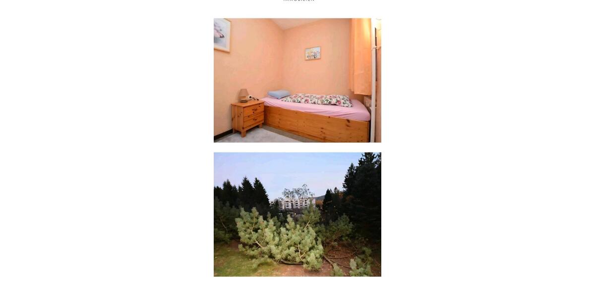 Erdgeschoßwohnung Goslar - 3 Zimmer, 48 m&sup2;, 60.000&euro; | Angebot:26057562