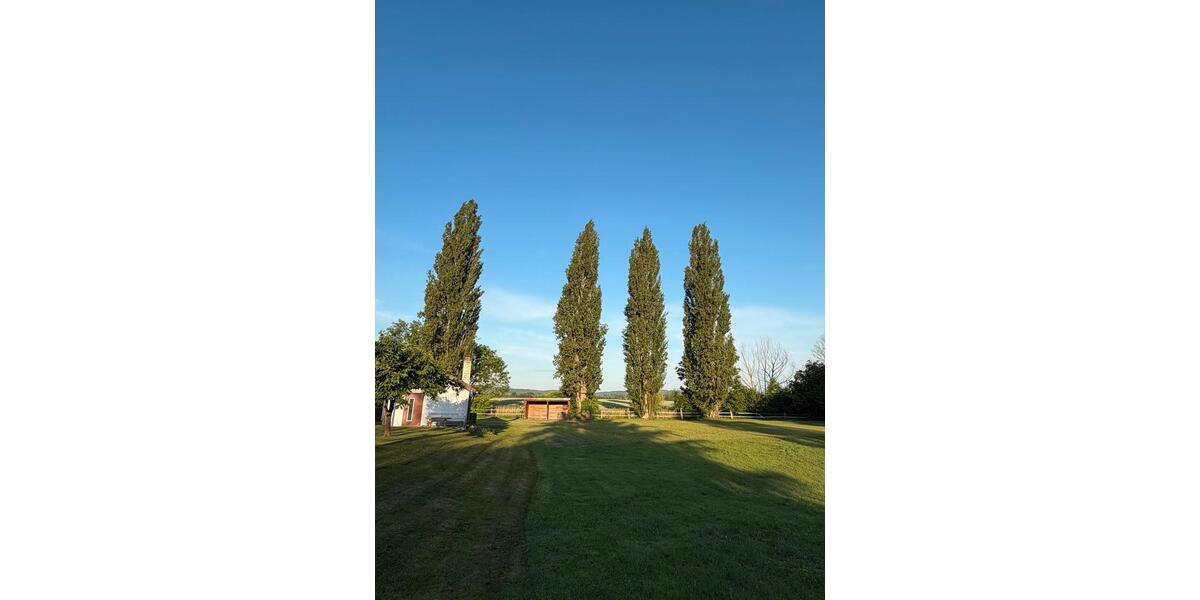 Einfamilienhaus Salzgitter Ortschaft Nord - 1 Zimmer, 1 m&sup2;, 550.000&euro; | Angebot:26933532