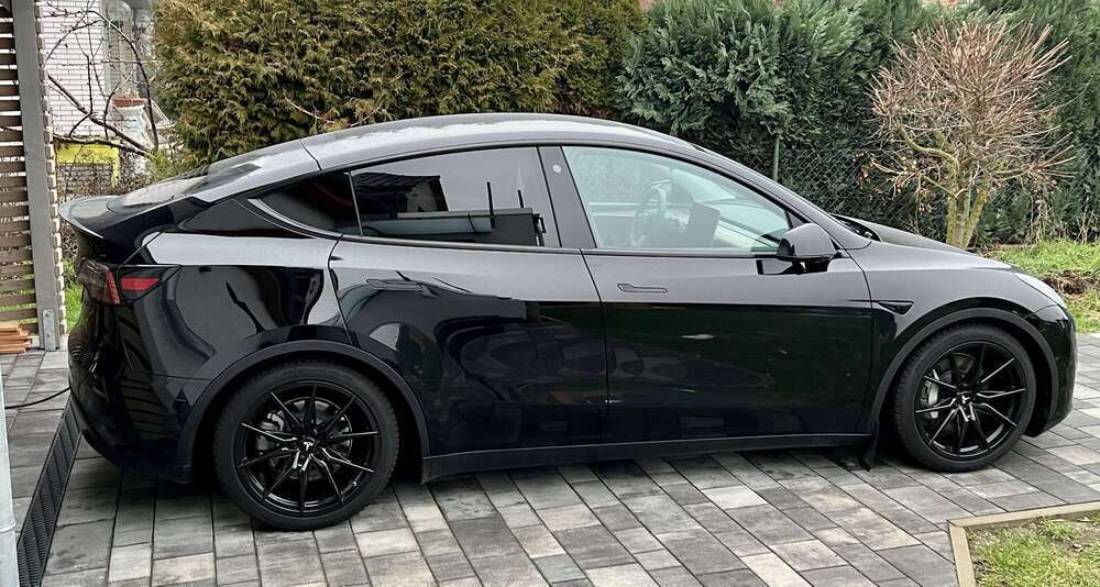Model Y