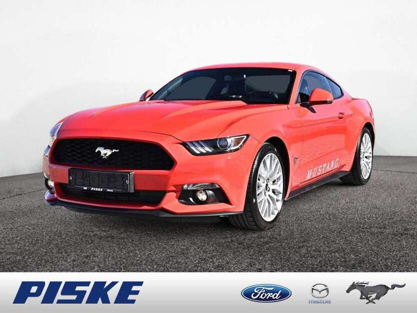 Mustang