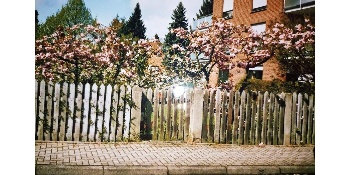 Einfamilienhaus Bockenem - 30.000&euro; | Angebot:24712879